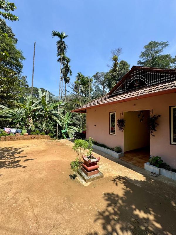 River stream Nest homestay - image 19