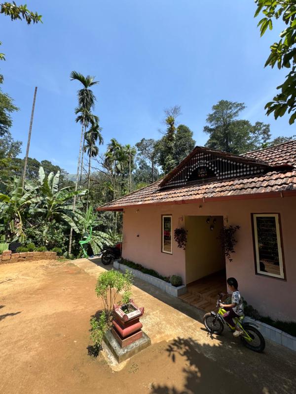 River stream Nest homestay - image 10