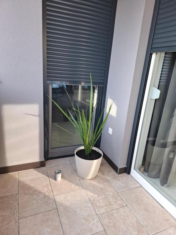 Apartman Ditka - image 7