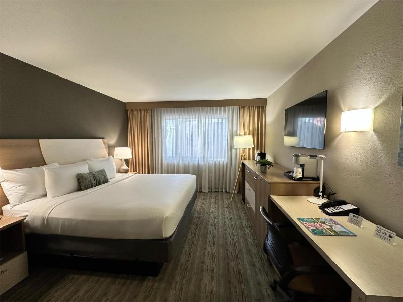 Best Western Plus Atlantic Beach Resort - image 10
