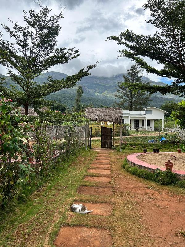 Mannora Resorts Marayoor - image 8