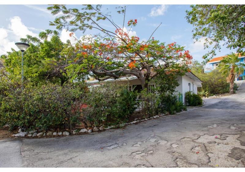 Bungalow Seabass - image 1