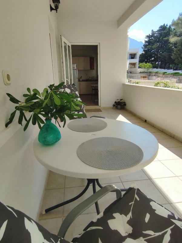 Apartments Palma - image 6