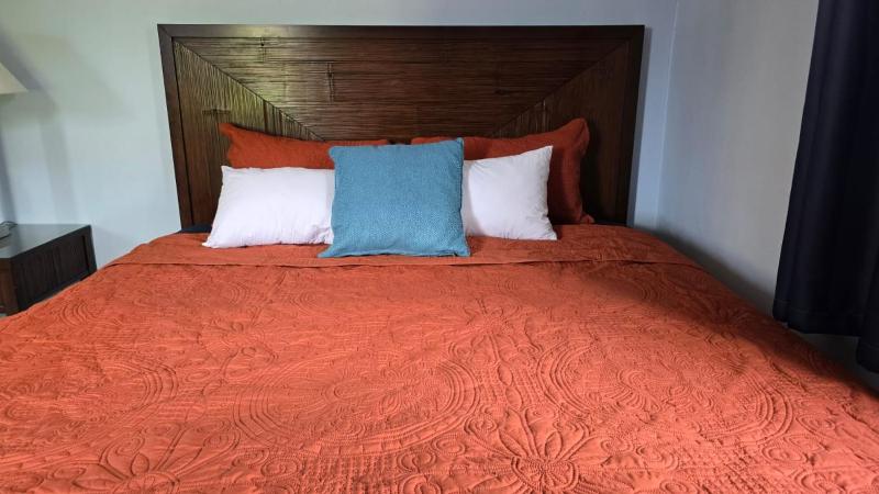 BalaCasa - The Escape - your tropical garden retreat - image 14