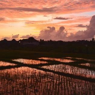 The Hideaway Canggu - image 21