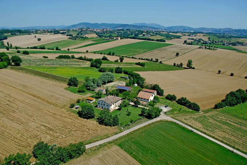 Fattoria Il Bruco - image 19