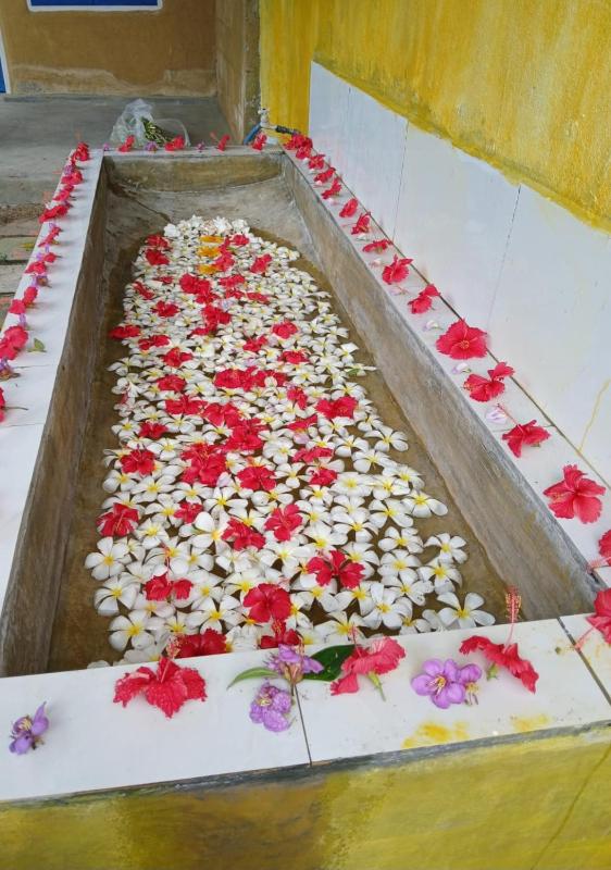 Suwetha villa Ayurveda Resort - image 30