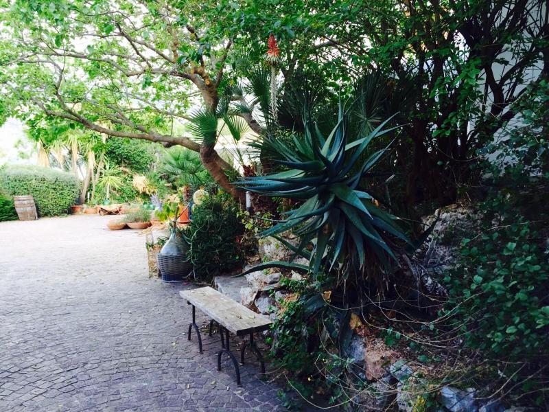 Villa Il Cappero - image 44