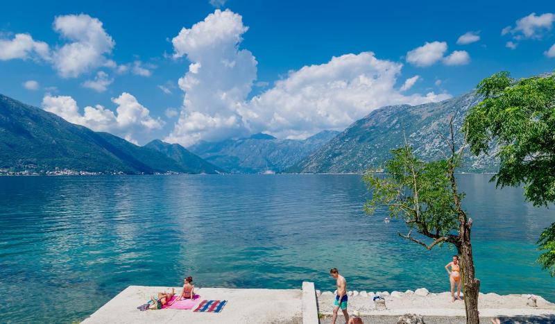 One-Bedroom Apartment image 3