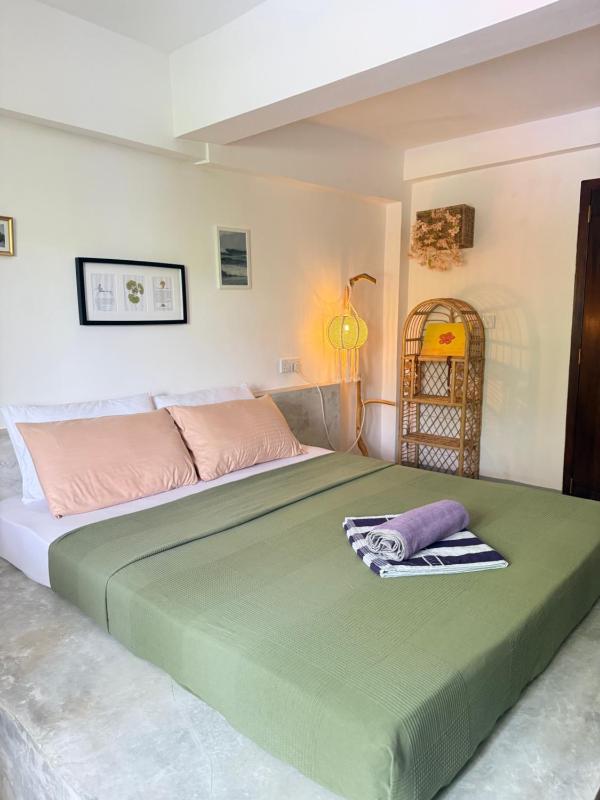 Sri Lanka Surf Villa Domus Graziella - image 6