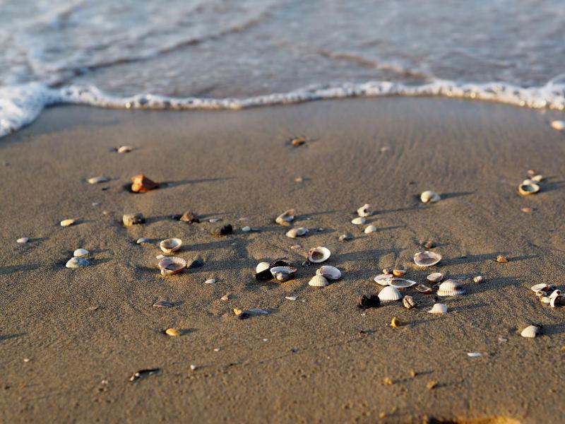 Grado Pineta flat with terrace - image 11
