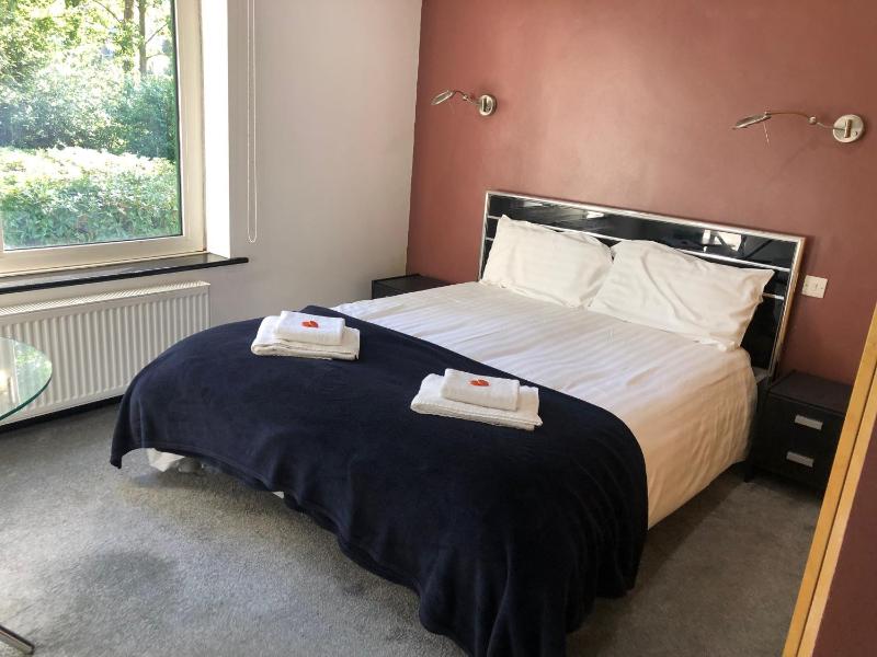 Bassett Home - King room and Free Parking - image 1