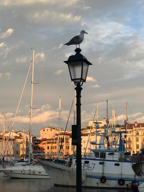 Hotel Alla città di Trieste - image 28