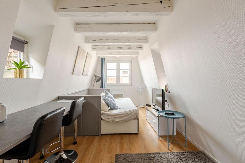 ** appartement cathedrale Strasbourg centre** - image 16