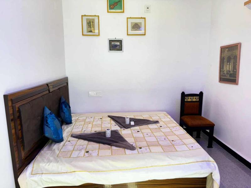 Little prince Haveli guesthouse - image 5