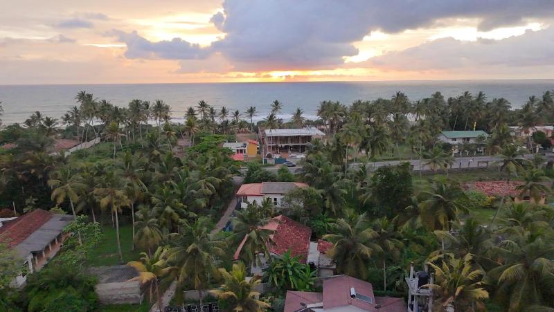 Sea Turtles Boutique Bungalow - image 6