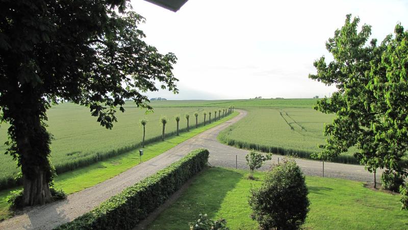 Double Room with Patio image 2