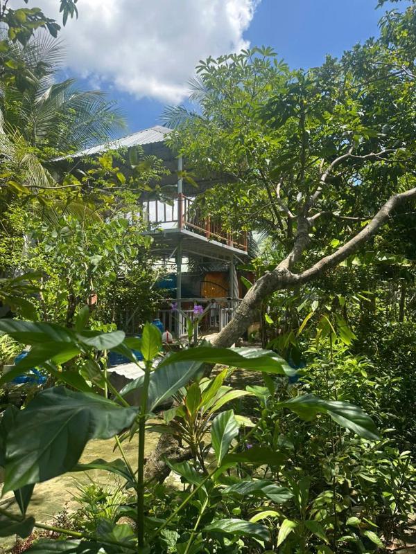 Green Garden Homestay - image 35