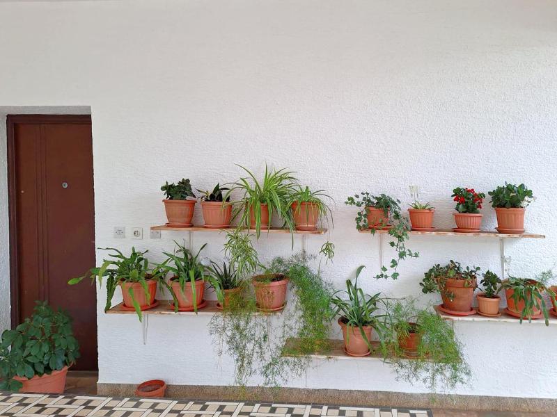 Apartments Flower terrace - image 2