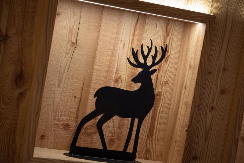 Chalet Matteo - image 35