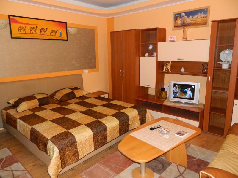 One-Bedroom Apartment image 3