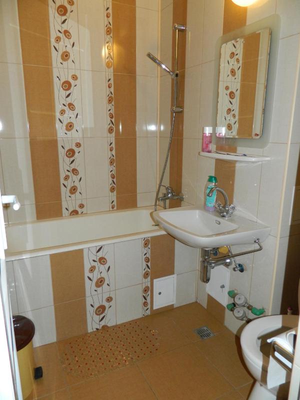 One-Bedroom Apartment image 2