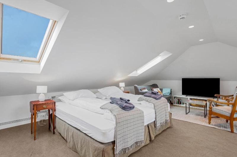 Freyja Guesthouse & Suites - image 15