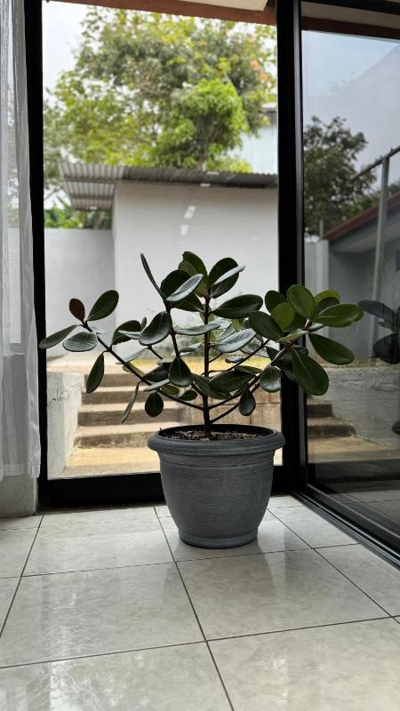 Casa Marta - image 11
