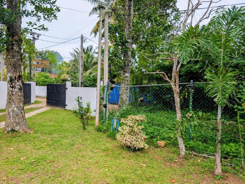 Canopy villas - image 13