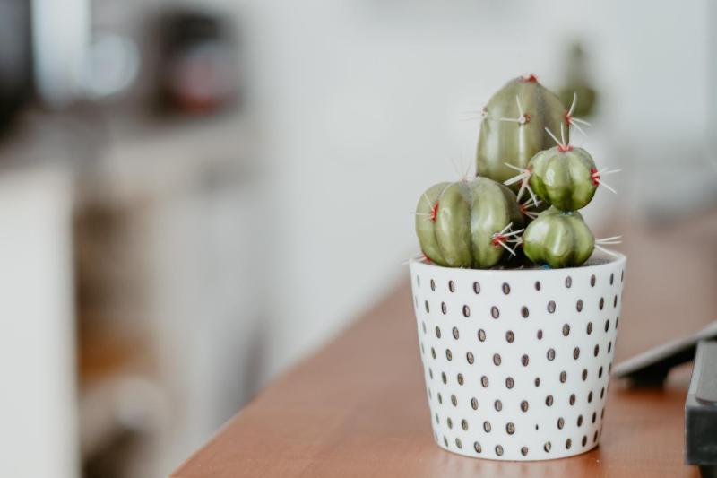 Le Quai 07 - image 20