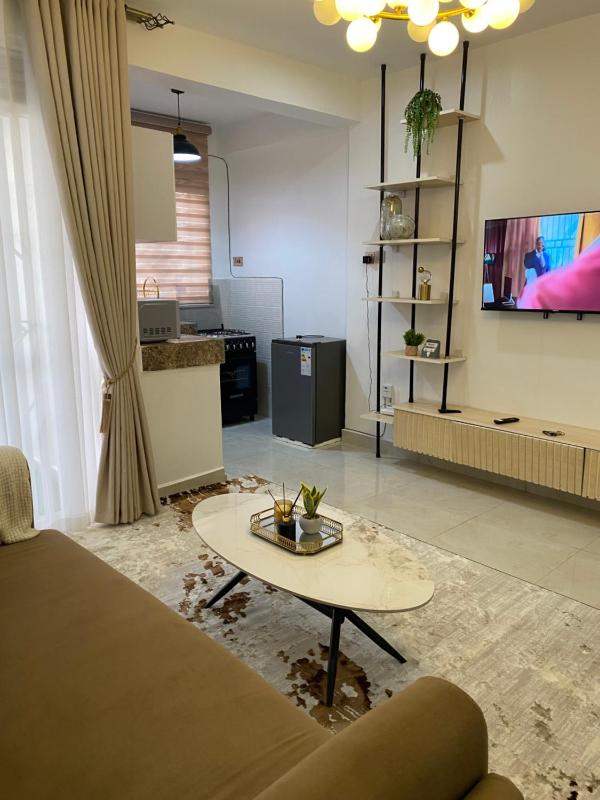 Town view apartment with gym - image 11