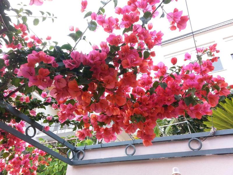 Apartment with Sea View image 4