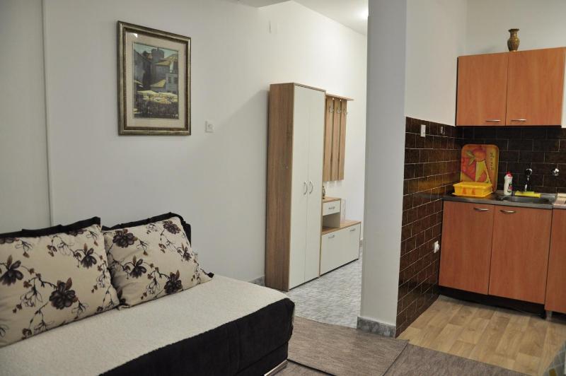 One-Bedroom Apartment image 3