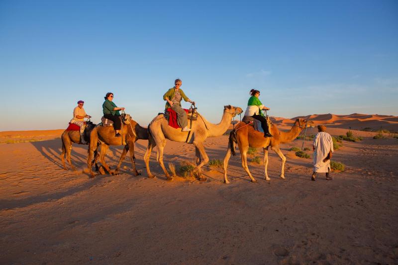 Luxury Desert Queen Camp - image 31