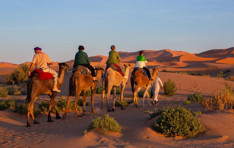 Luxury Desert Queen Camp - image 39