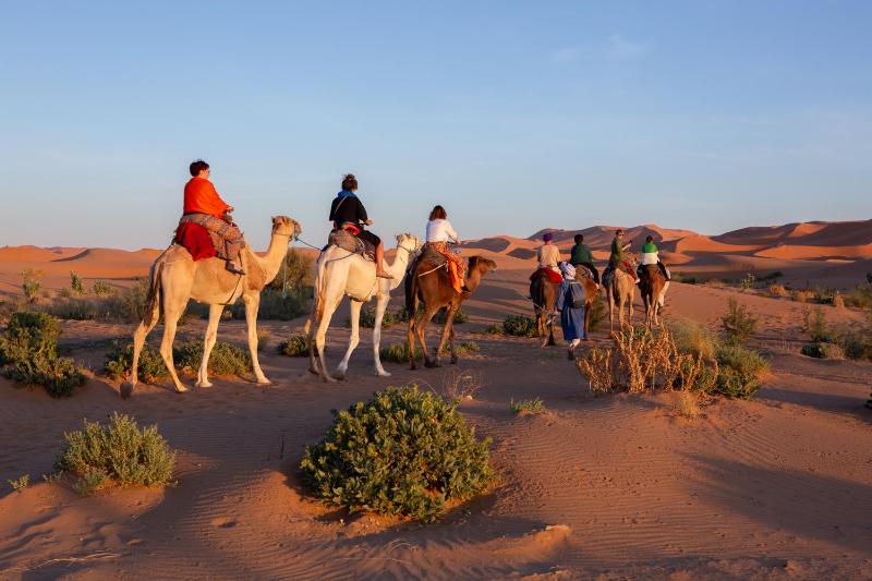 Luxury Desert Queen Camp - image 30