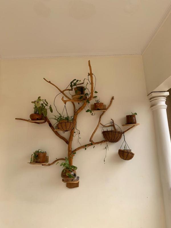 Inkindi House - image 5