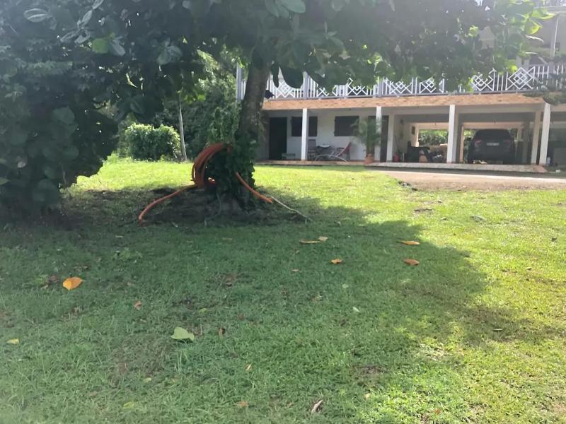 Appartement moderne à Rivière-Pilote 80 m² jardin - image 12