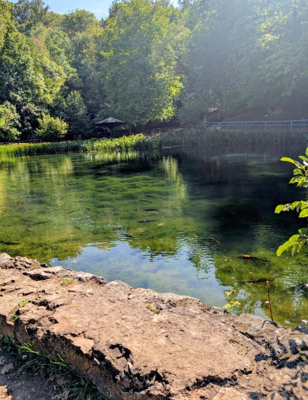 Mimi -Green Hill naselje Podina u blizini aqua parka parking freeigraliste za decu - image 10