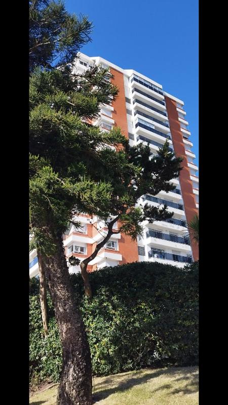 Apartamento en Punta del Este - image 8