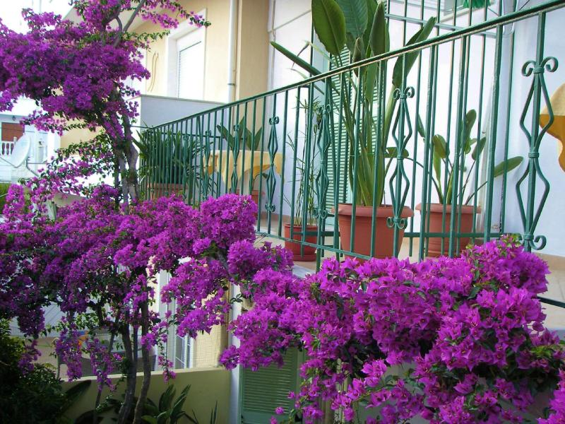 Aiolos House - image 2