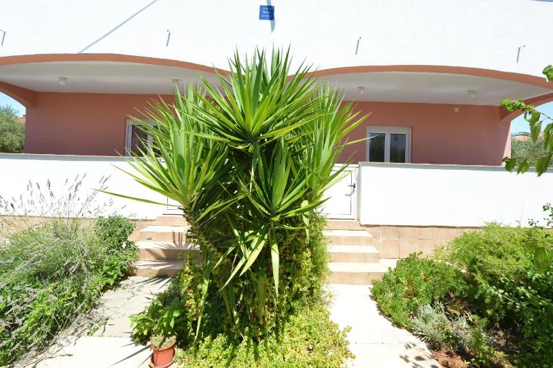 Apartments by the sea Vir - 24953 - image 10