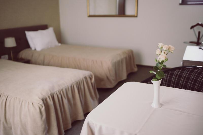 Standard Twin Room image 4