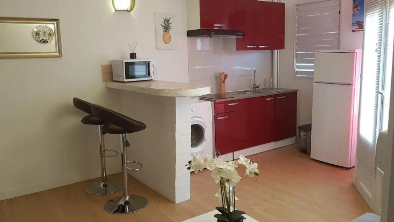 Studio confortable à Les Trois-Îlets 25 m² avec terrasse - image 9