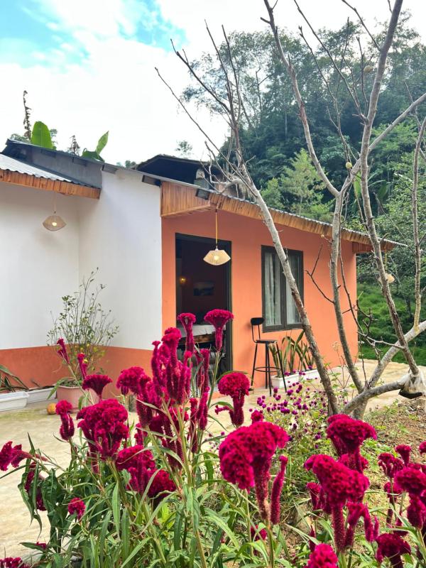 Little Stream House Sapa - image 36