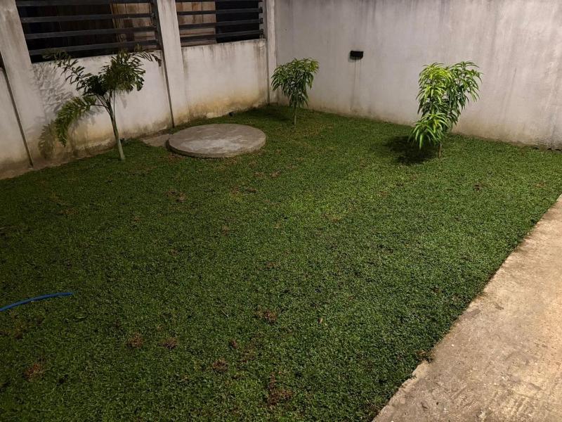 Dragon Villa - image 3