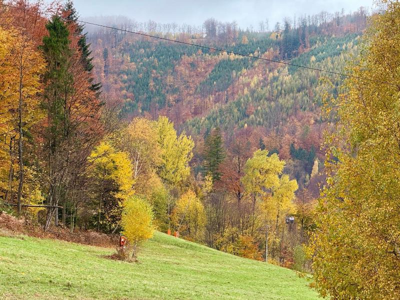 Bella Monte - image 25