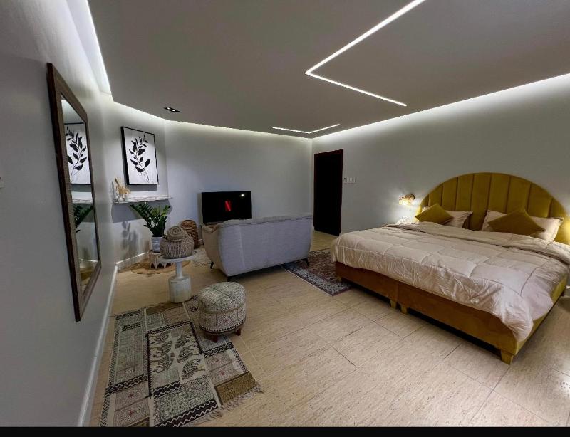 استديو النورس 4 - بطراز البوهيمي بـ دخول ذاتي - image 1
