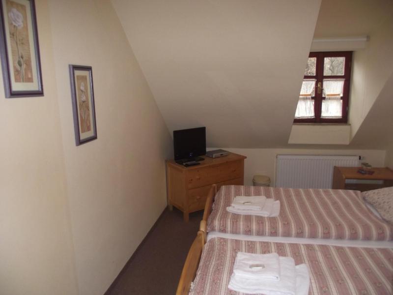 Double or Twin Room image 3