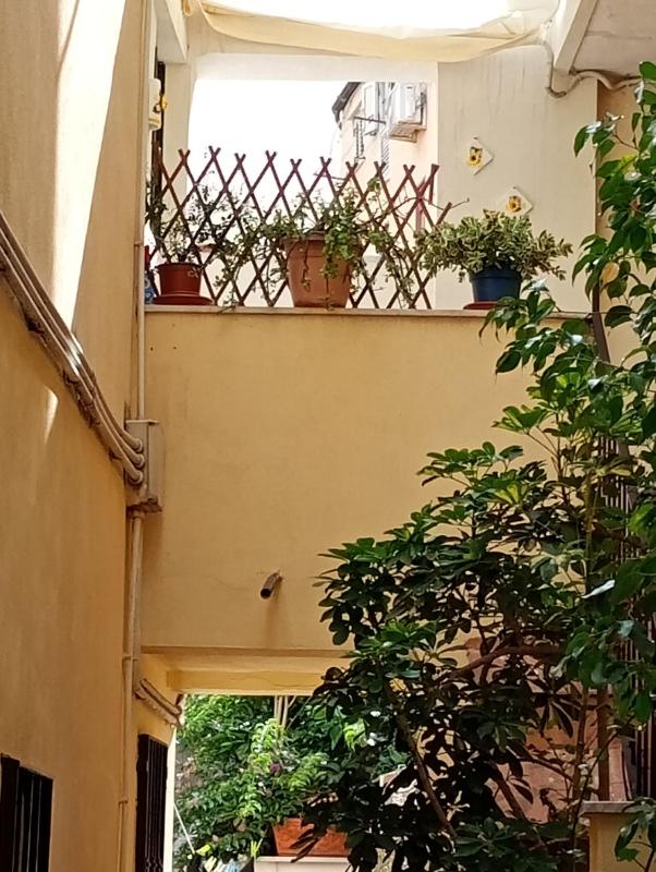 Aci House - image 5